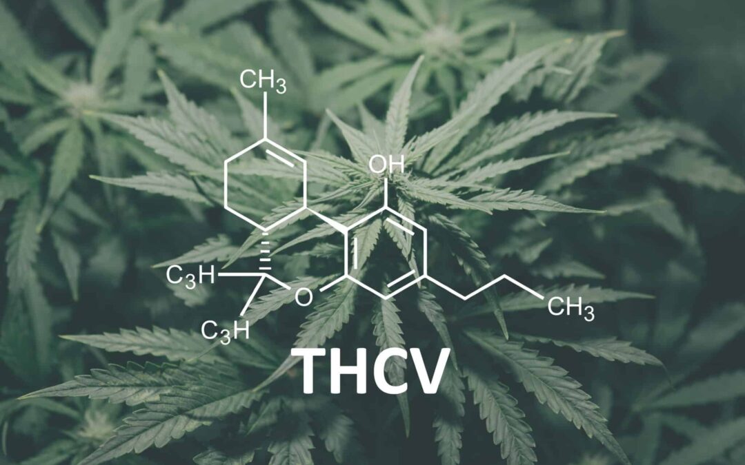 What is THCv? Get to Know the New “It” Cannabinoid