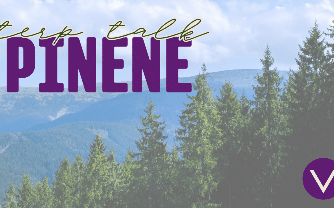 What is Pinene? Village Terp Talk